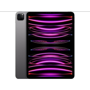 Apple-iPad-Pro-4-Gen-11-Zoll-256-GB-Grau-0