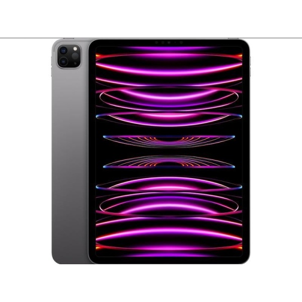 Apple-iPad-Pro-4-Gen-11-Zoll-256-GB-Grau-0