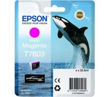 EPSON T760340 Tintenpatrone magenta EPSON-T760340-Tintenpatrone-magenta-0