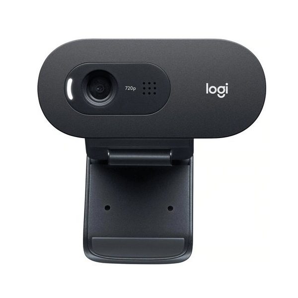 Logitech-HD-Webcam-C505-0
