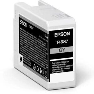 T46S700-Epson-Tintenpatrone-gray-0