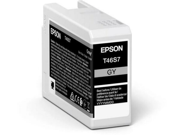 T46S700-Epson-Tintenpatrone-gray-0