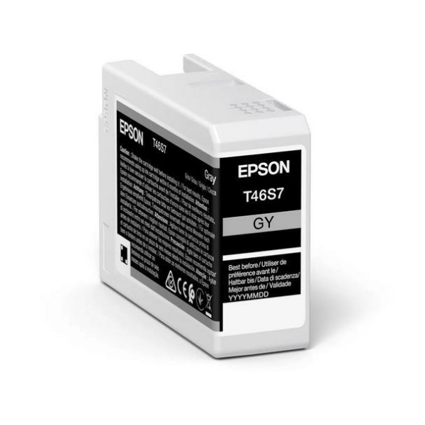 T46S700-Epson-Tintenpatrone-gray-0